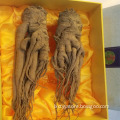 /msite/products/detail/productid/56948753/id/645581.html